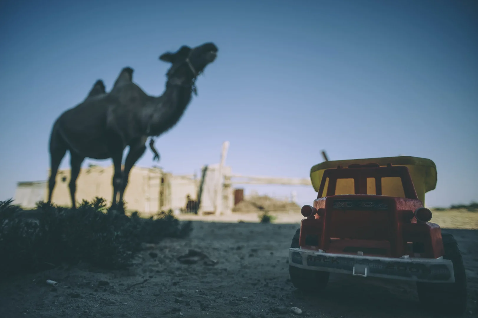 Aral Sea